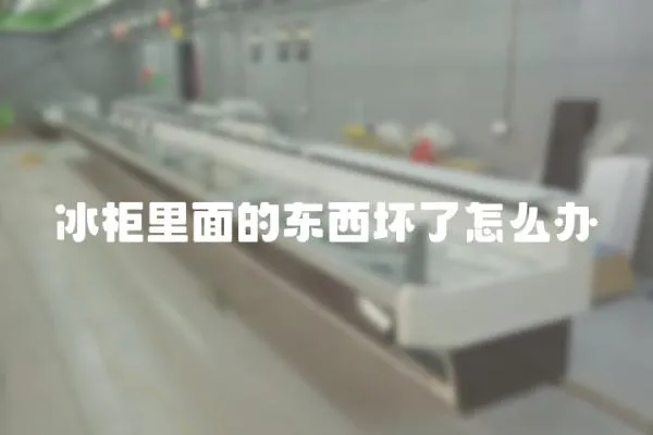 冰柜里面的東西壞了怎么辦