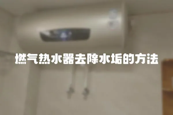 燃氣熱水器去除水垢的方法