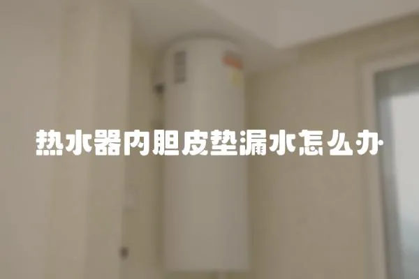 熱水器內(nèi)膽皮墊漏水怎么辦