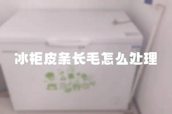 冰柜皮条长毛怎么处理