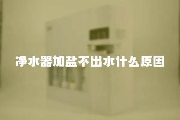 凈水器加鹽不出水什么原因