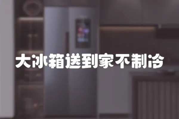 大冰箱送到家不制冷