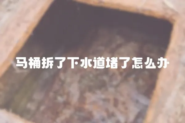 馬桶拆了下水道堵了怎么辦