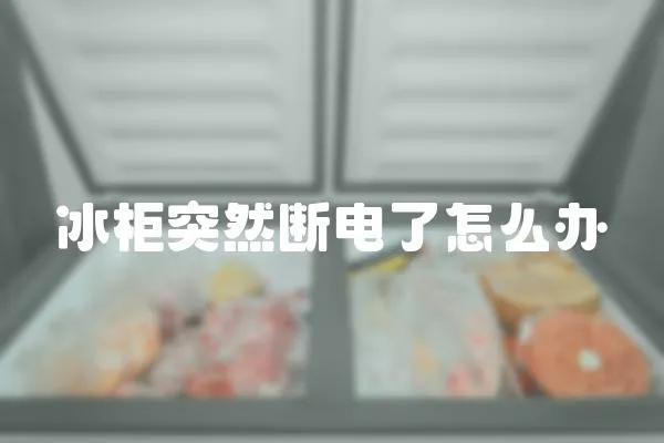 冰柜突然斷電了怎么辦