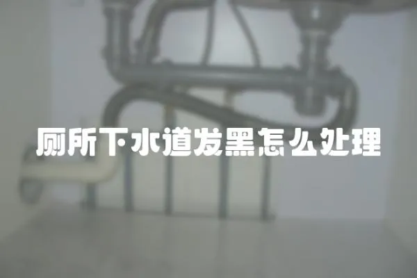 廁所下水道發黑怎么處理