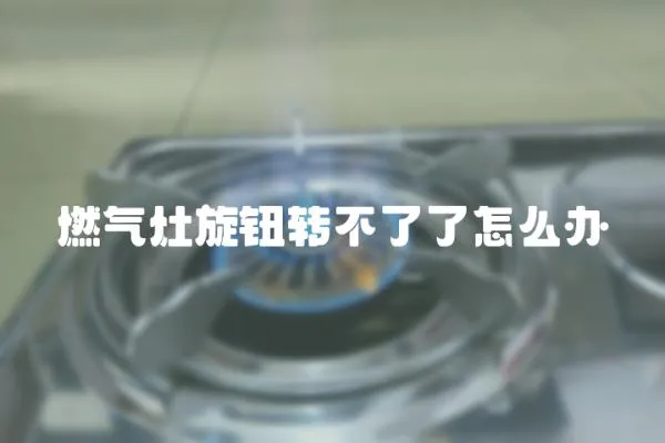 燃?xì)庠钚o轉(zhuǎn)不了了怎么辦