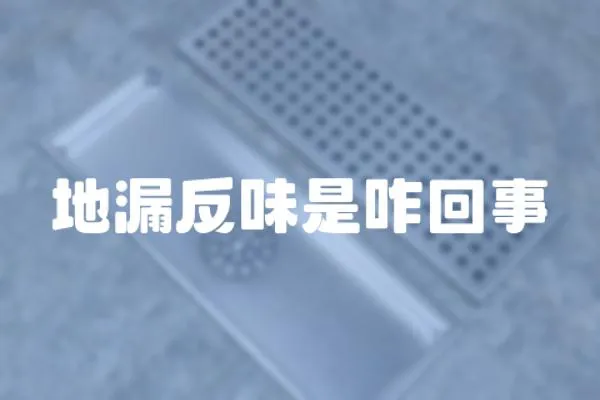 地漏反味是咋回事