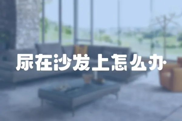 尿在沙發上怎么辦