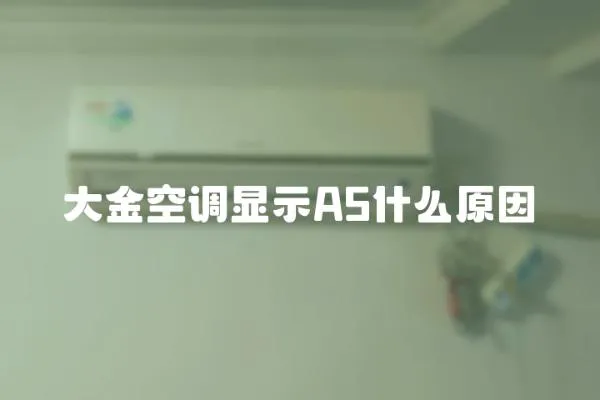 大金空調顯示A5什么原因