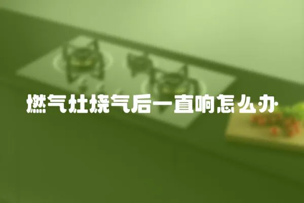 燃?xì)庠顭龤夂笠恢表懺趺崔k