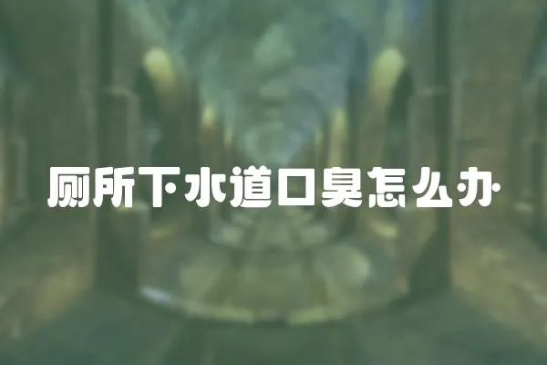 廁所下水道口臭怎么辦