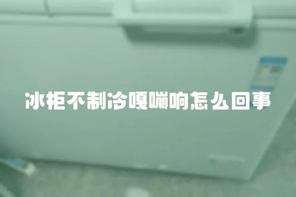 冰柜不制冷嘎嘣響怎么回事