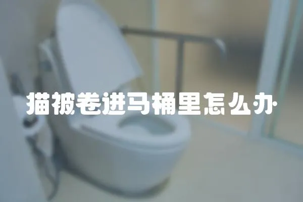 貓被卷進馬桶里怎么辦