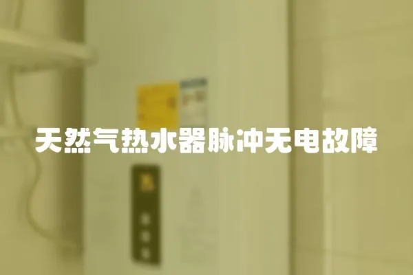 天然氣熱水器脈沖無電故障