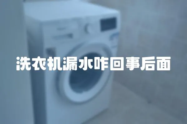 洗衣機(jī)漏水咋回事后面