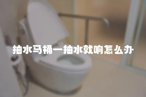 抽水馬桶一抽水就響怎么辦