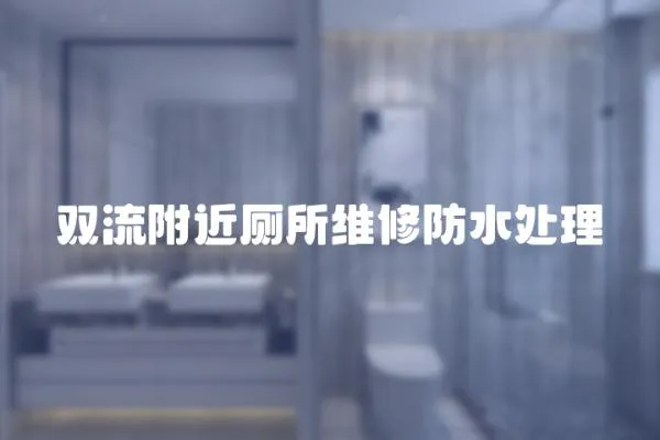 雙流附近廁所維修防水處理