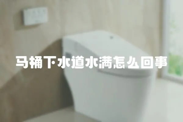 馬桶下水道水滿怎么回事