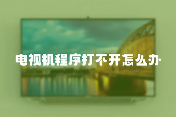 電視機程序打不開怎么辦
