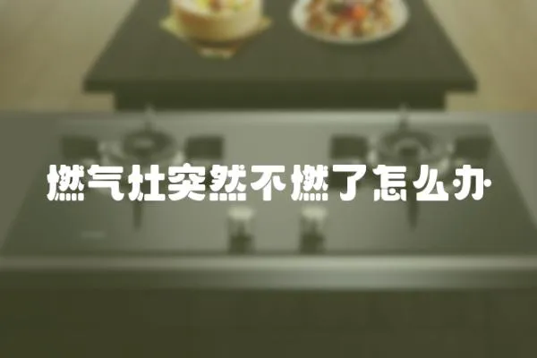 燃氣灶突然不燃了怎么辦
