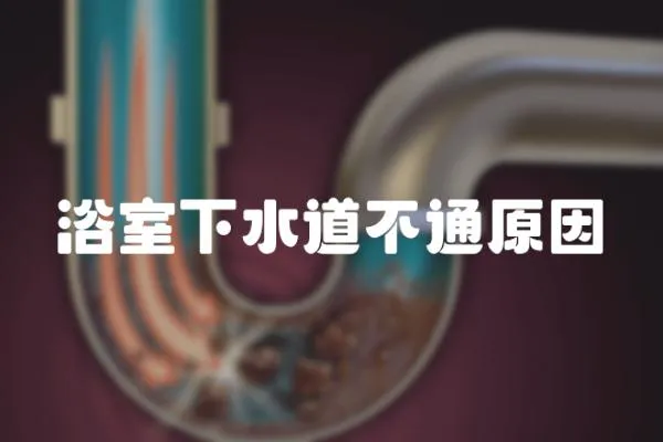 浴室下水道不通原因