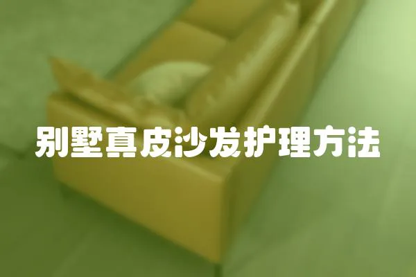 別墅真皮沙發(fā)護(hù)理方法