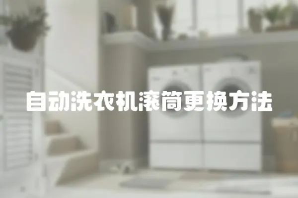 自動(dòng)洗衣機(jī)滾筒更換方法