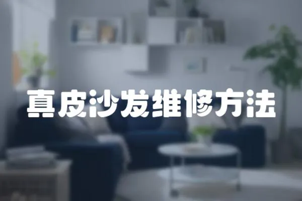 真皮沙發維修方法
