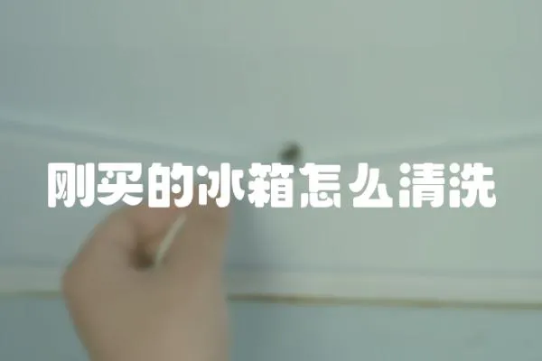 剛買的冰箱怎么清洗
