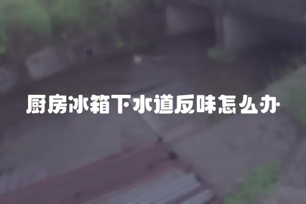廚房冰箱下水道反味怎么辦