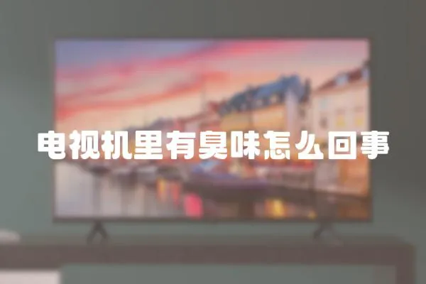 電視機(jī)里有臭味怎么回事
