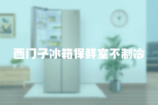 西門(mén)子冰箱保鮮室不制冷