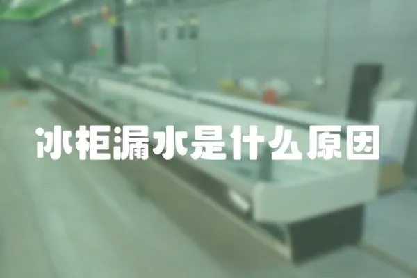 冰柜漏水是什么原因