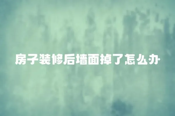 房子裝修后墻面掉了怎么辦