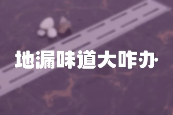 地漏味道大咋辦