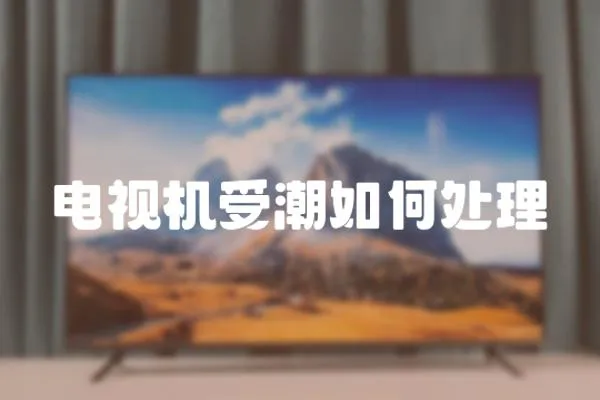 電視機受潮如何處理
