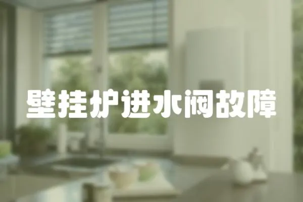 壁掛爐進水閥故障