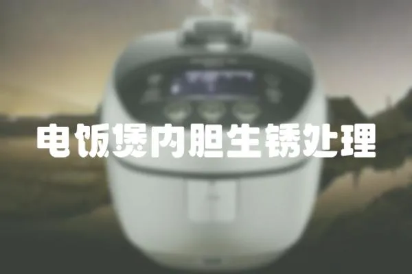 電飯煲內膽生銹處理