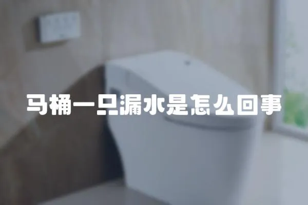 馬桶一只漏水是怎么回事