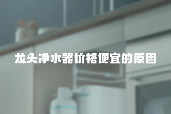 龍頭凈水器價格便宜的原因