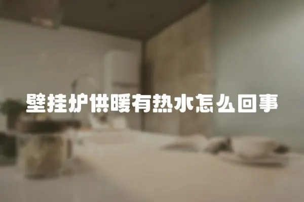 壁掛爐供暖有熱水怎么回事