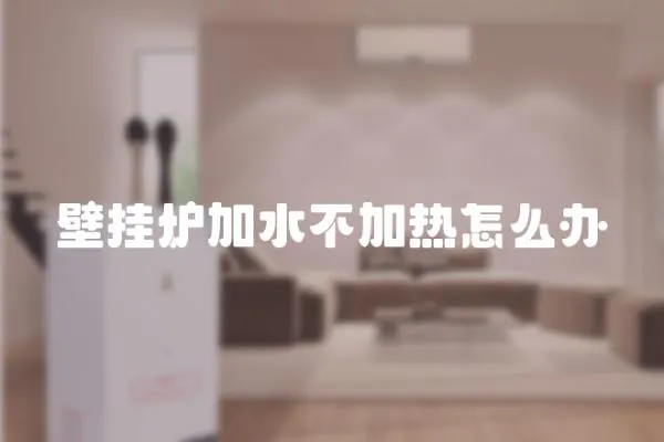 壁掛爐加水不加熱怎么辦