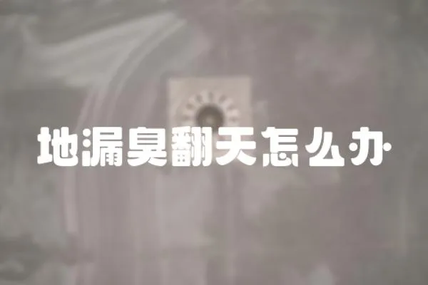 地漏臭翻天怎么辦