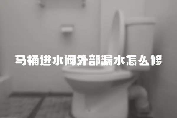 馬桶進水閥外部漏水怎么修