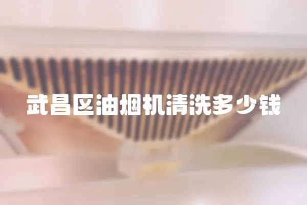 武昌區油煙機清洗多少錢