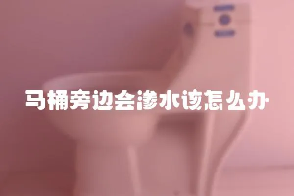 馬桶旁邊會滲水該怎么辦