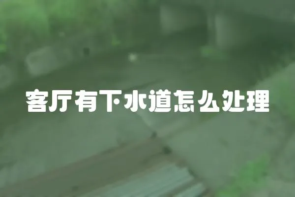 客廳有下水道怎么處理