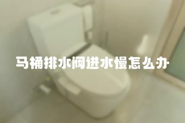 馬桶排水閥進水慢怎么辦