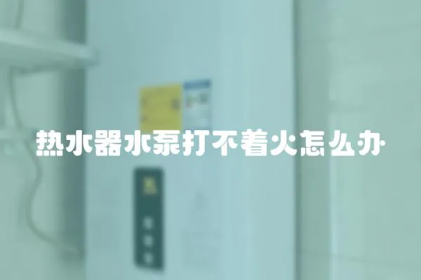 熱水器水泵打不著火怎么辦