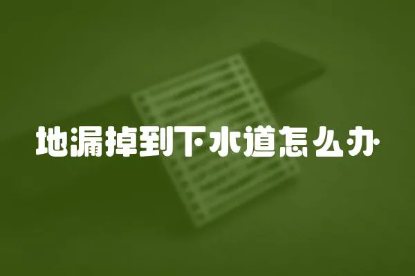 地漏掉到下水道怎么辦
